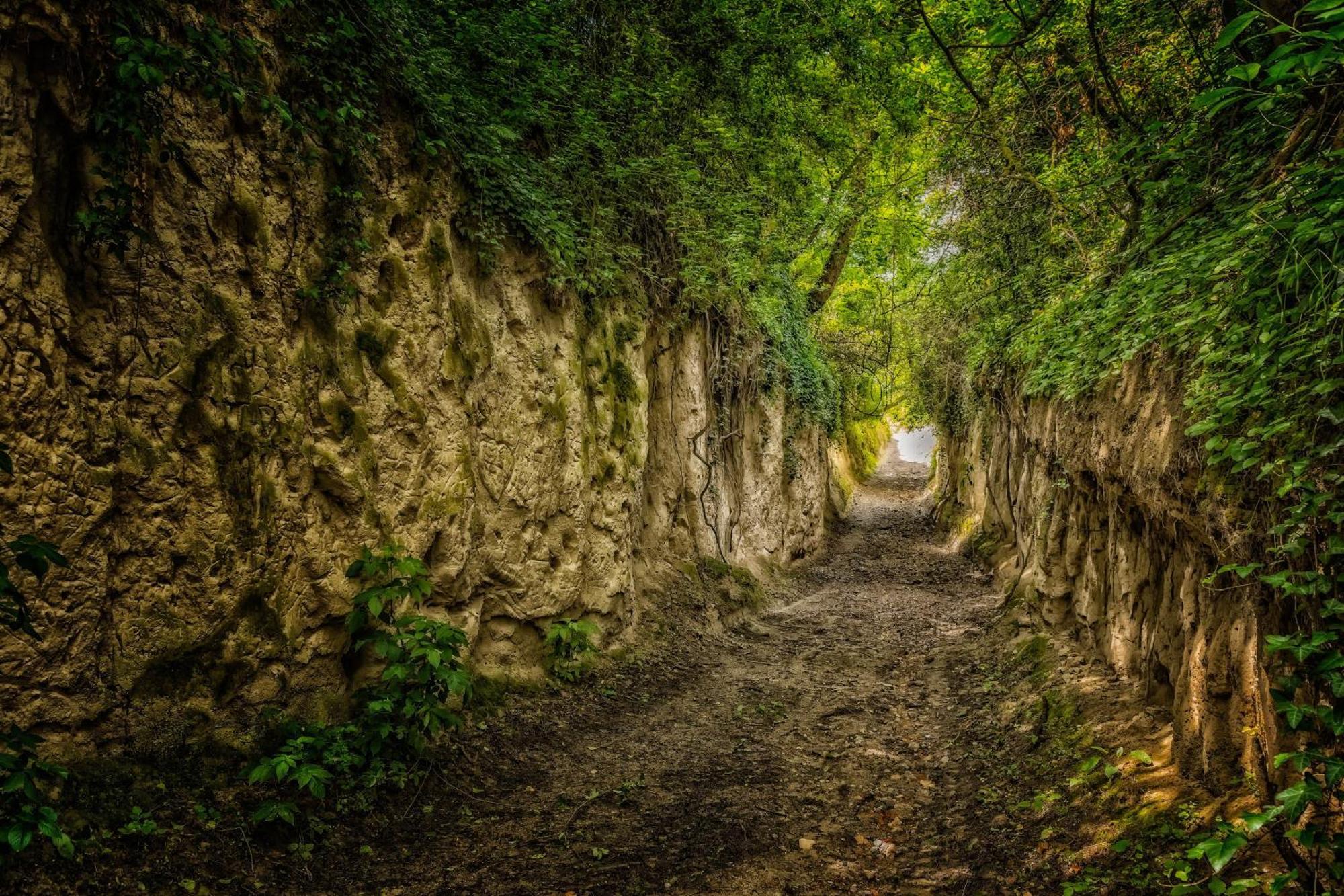 Dreilaendereck Am Kaiserstuhl Wasenweiler Exteriér fotografie