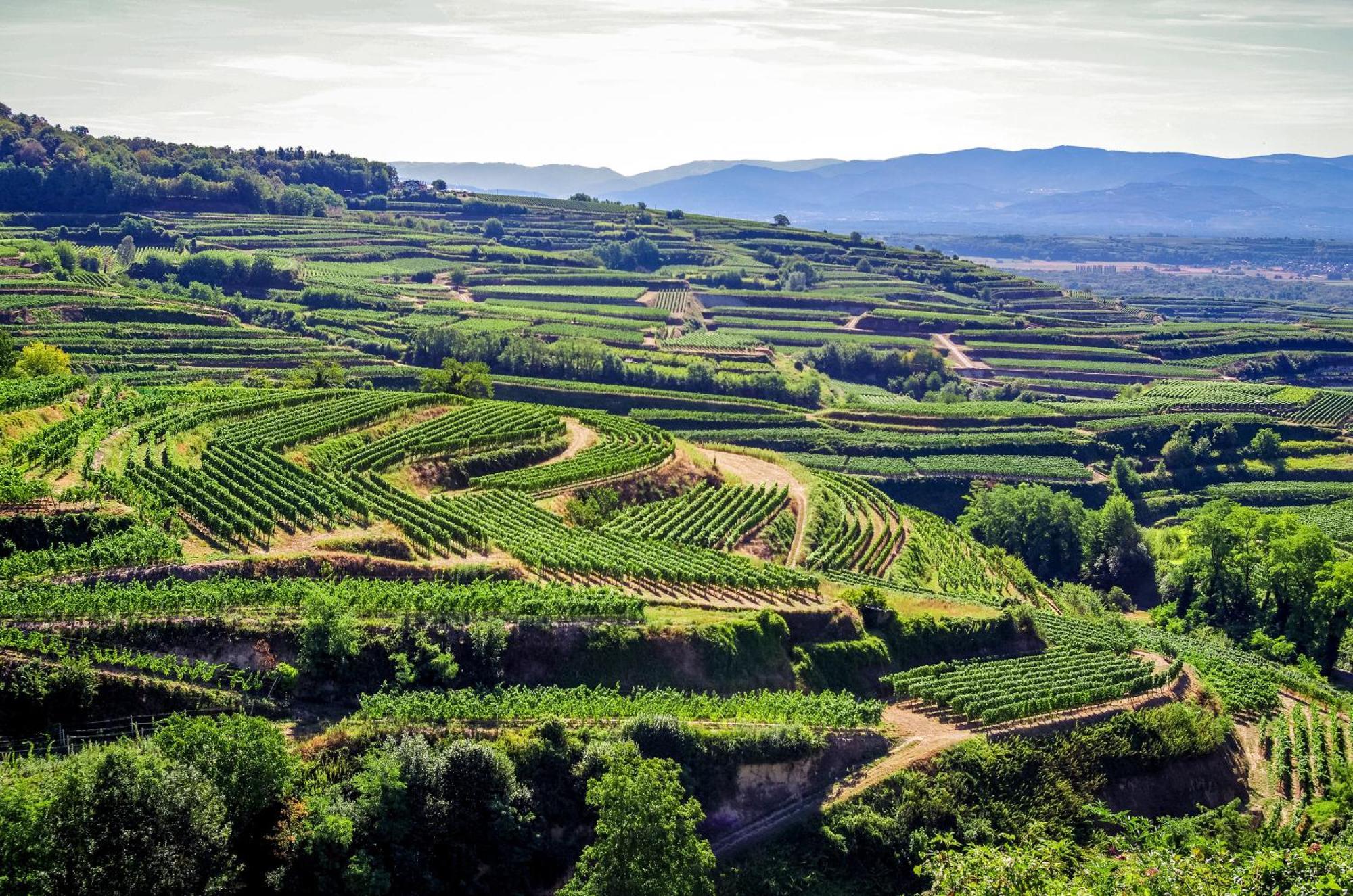 Dreilaendereck Am Kaiserstuhl Wasenweiler Exteriér fotografie